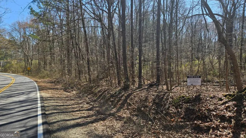 0 Cook DR Ellenwood, GA 30294