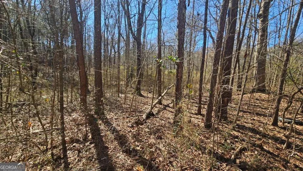 0 Cook DR Ellenwood, GA 30294
