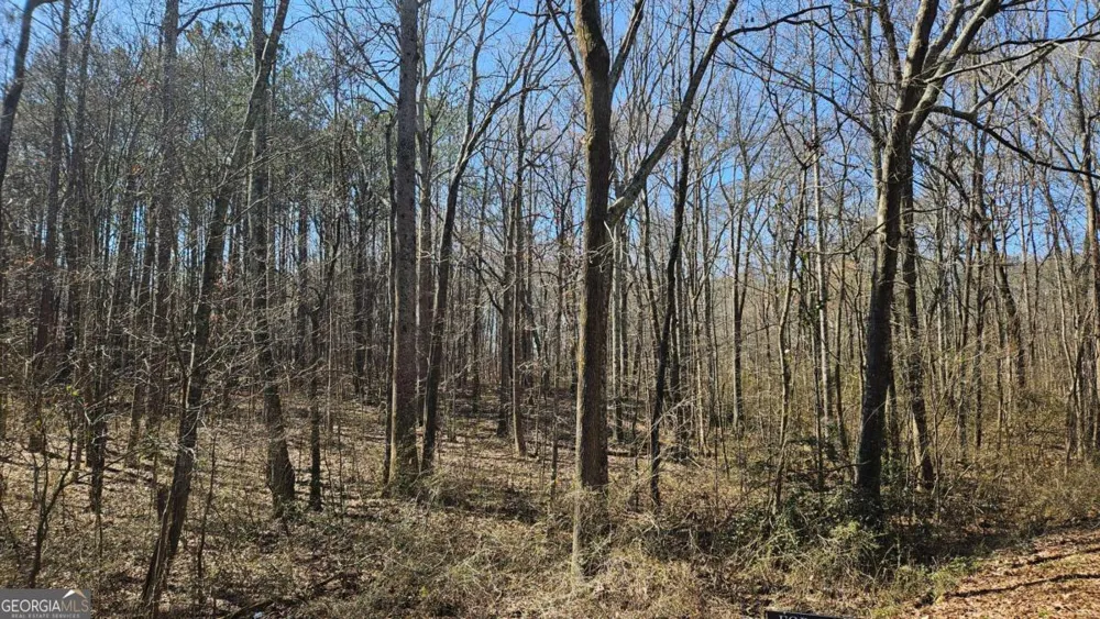 0 Cook DR Ellenwood, GA 30294