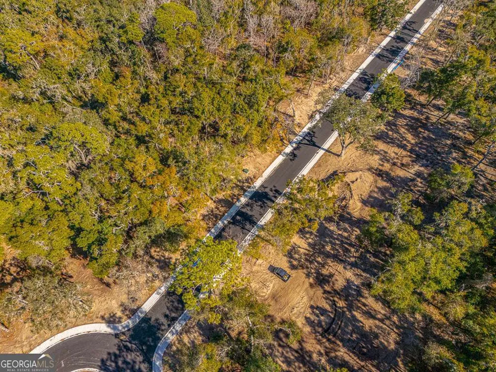 123 Canopy LN St. Simons, GA 31522