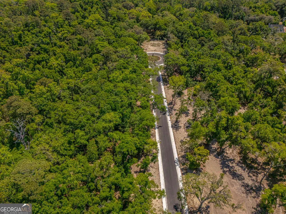 123 Canopy LN St. Simons, GA 31522