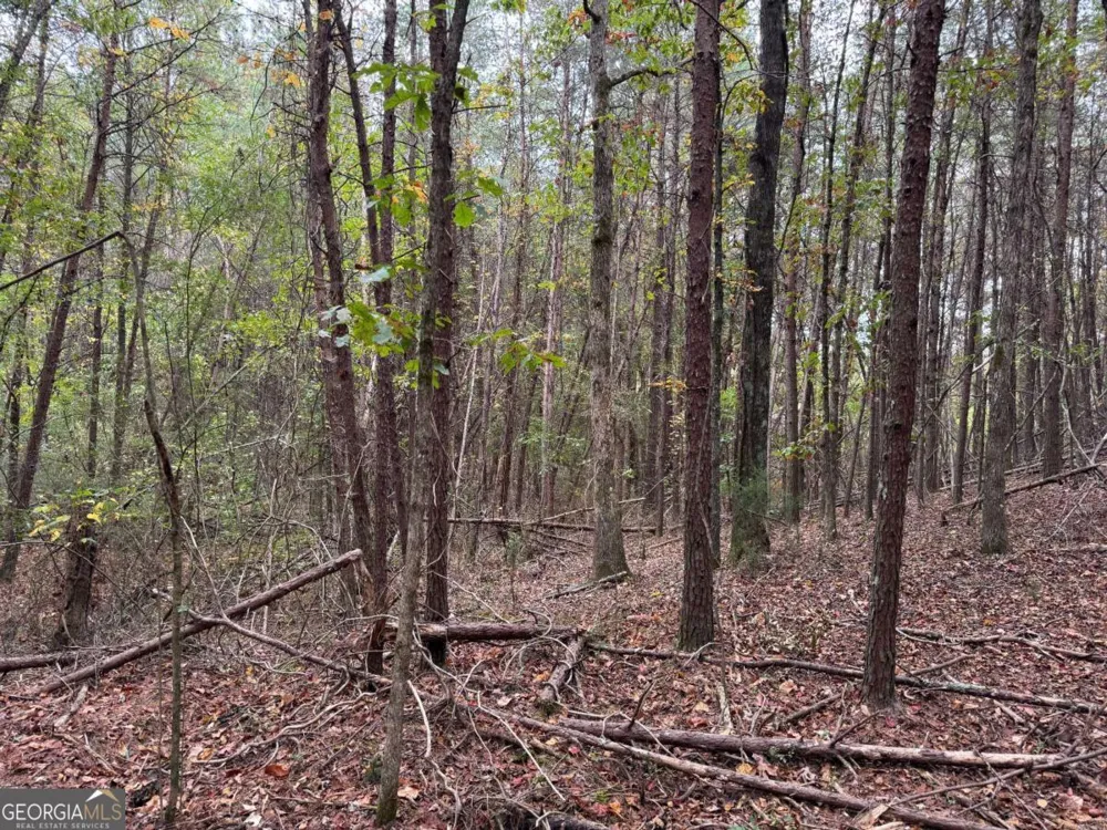 0 Cagle RD Fairmount, GA 30139
