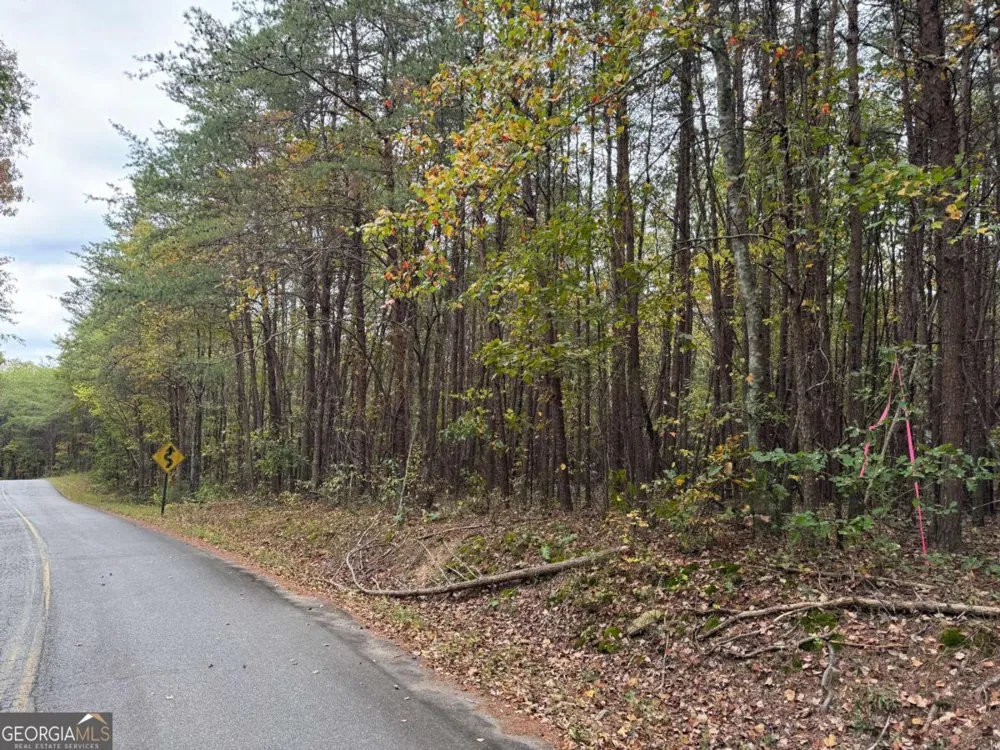 0 Cagle RD Fairmount, GA 30139