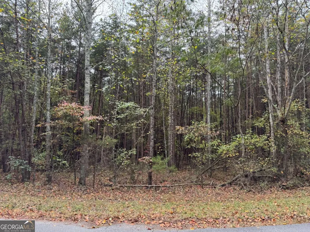0 Cagle RD Fairmount, GA 30139