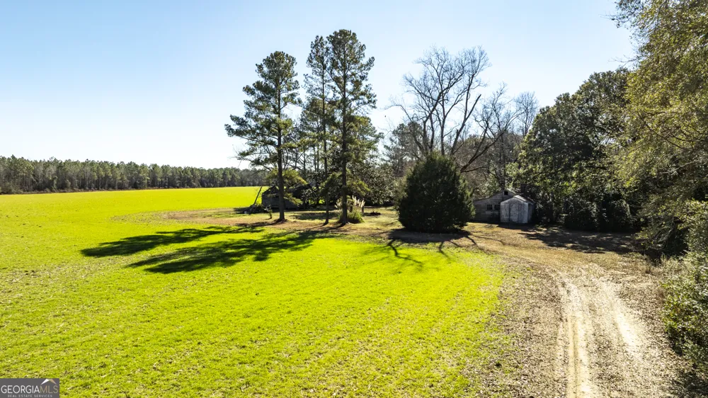 0 Sam Tillman Statesboro, GA 30458