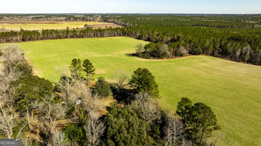 0 Sam Tillman Statesboro, GA 30458