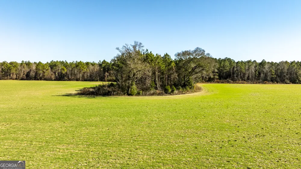 0 Sam Tillman Statesboro, GA 30458