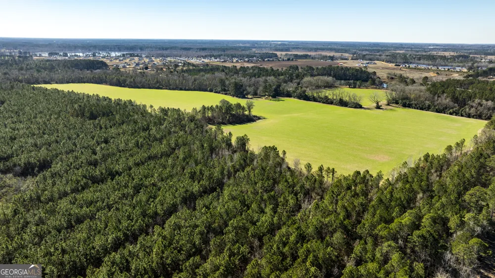 0 Sam Tillman Statesboro, GA 30458