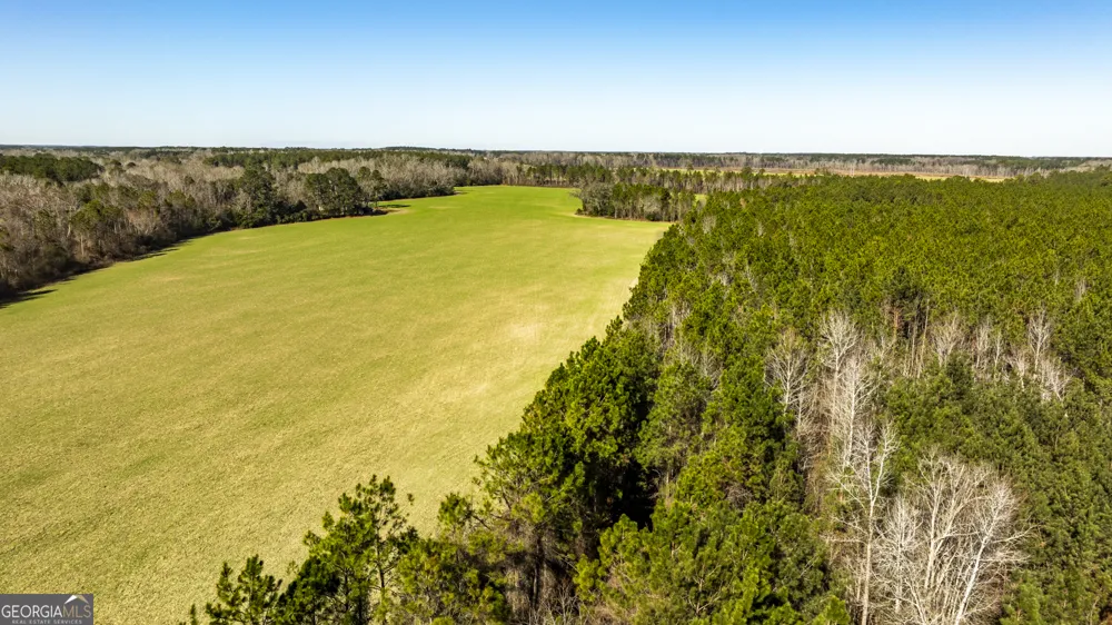 0 Sam Tillman Statesboro, GA 30458