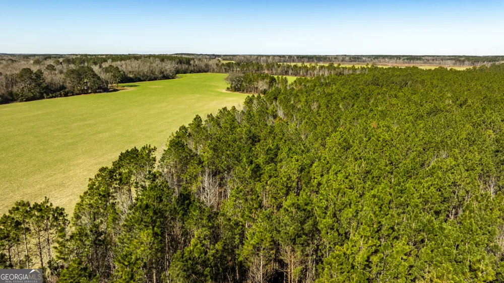 0 Sam Tillman Statesboro, GA 30458