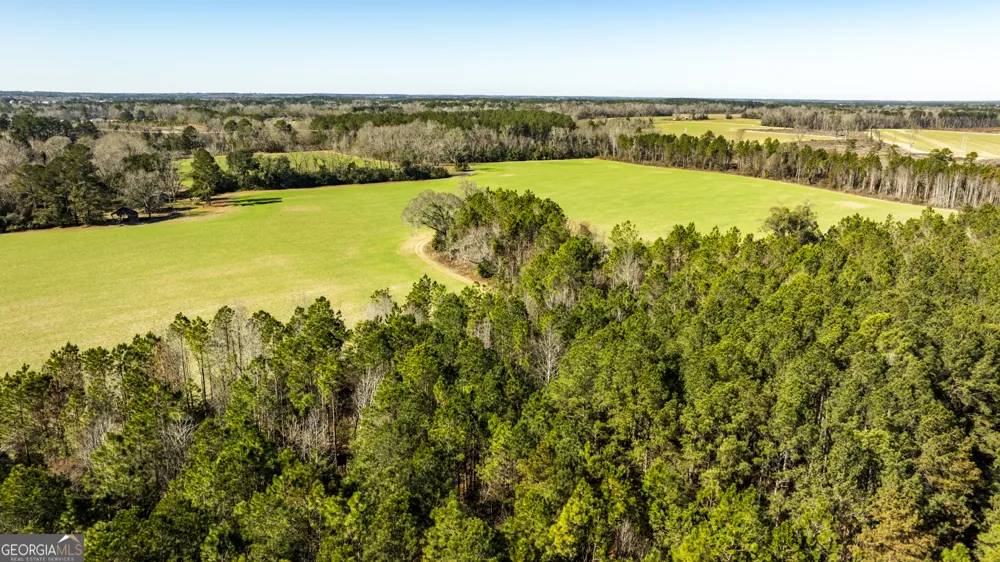 0 Sam Tillman Statesboro, GA 30458