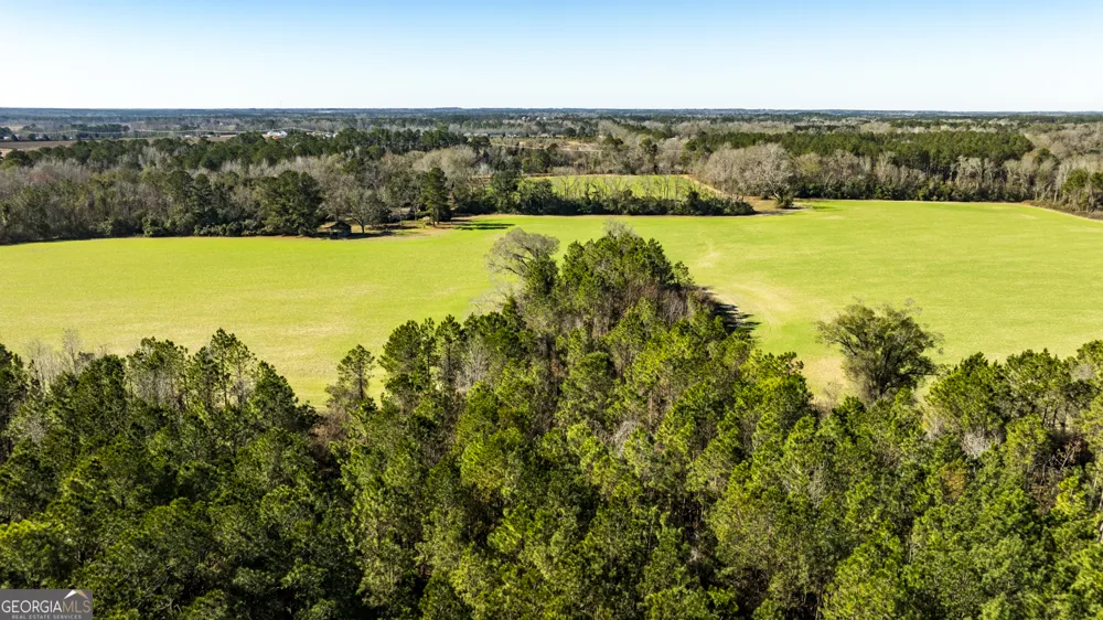 0 Sam Tillman Statesboro, GA 30458