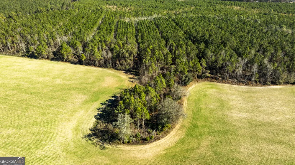 0 Sam Tillman Statesboro, GA 30458