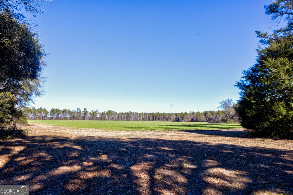 0 Sam Tillman Statesboro, GA 30458