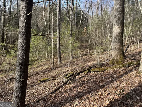 0 Winter CT
