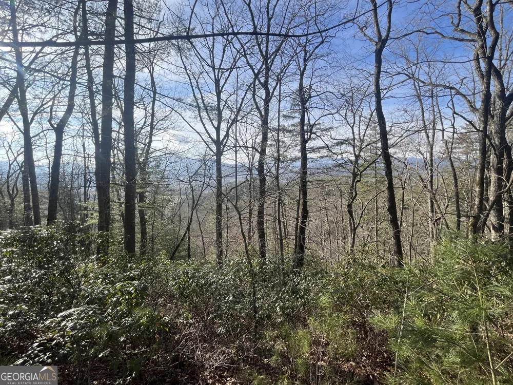 0 Winter CT Dillard, GA 30537