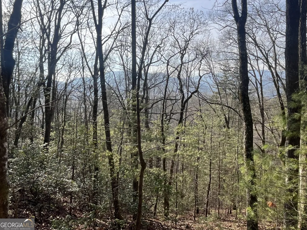 0 Winter CT Dillard, GA 30537