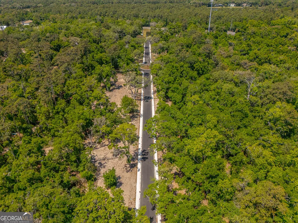 145 Canopy LN St. Simons, GA 31522