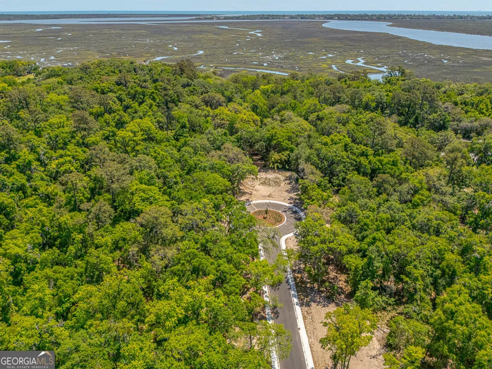 145 Canopy LN St. Simons, GA 31522