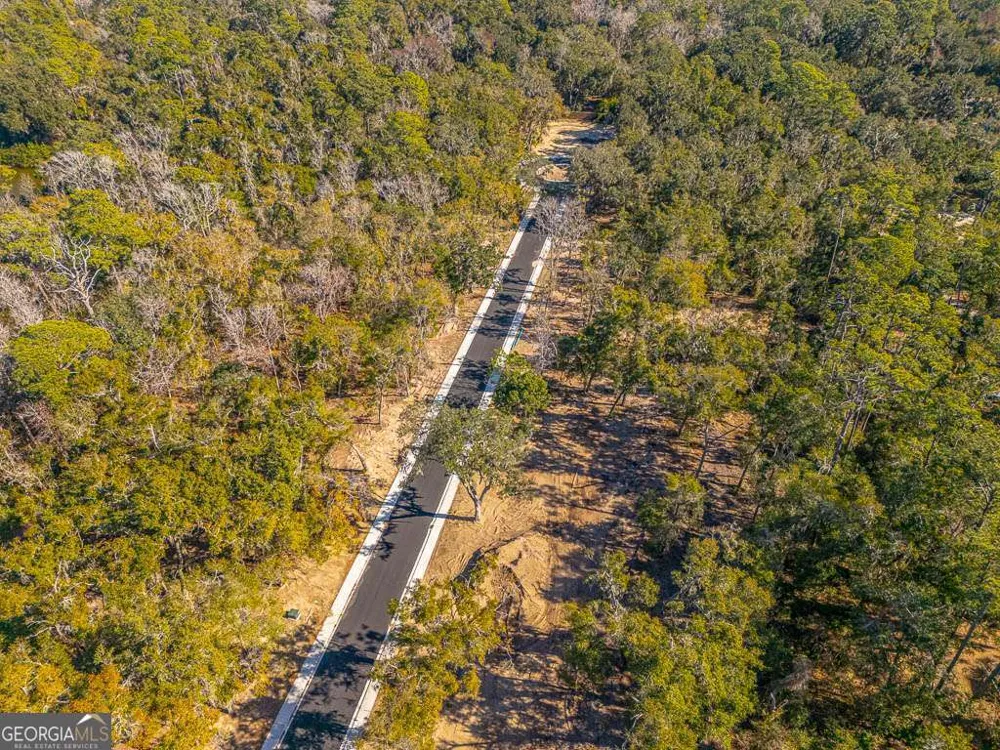 146 Canopy LN St. Simons, GA 31522