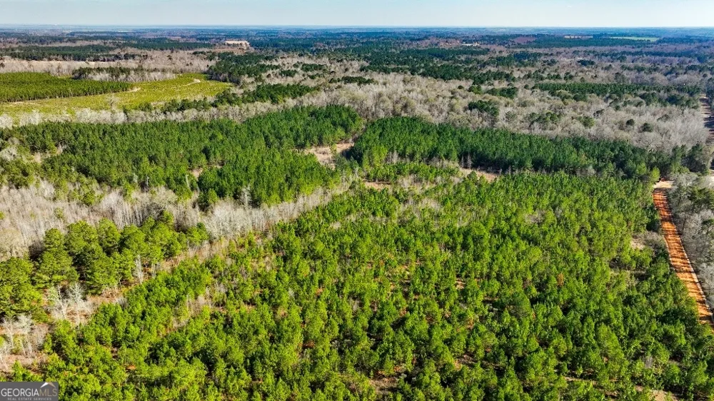 0 Crooked RD Millen, GA 30442