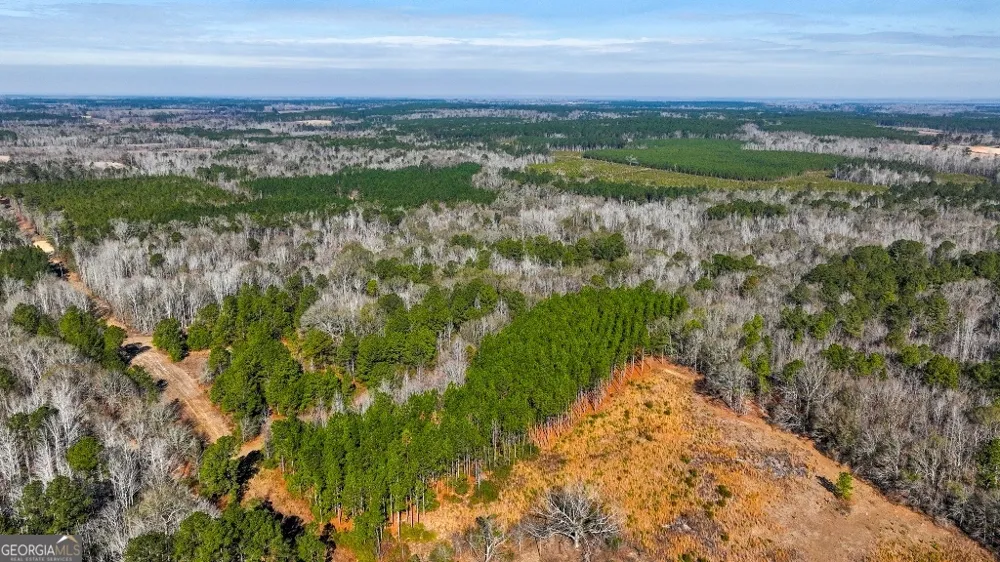0 Crooked RD Millen, GA 30442