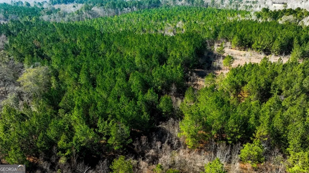 0 Crooked RD Millen, GA 30442