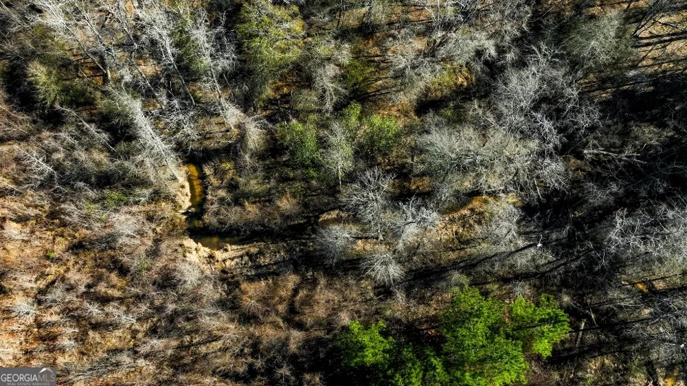 0 Crooked RD Millen, GA 30442