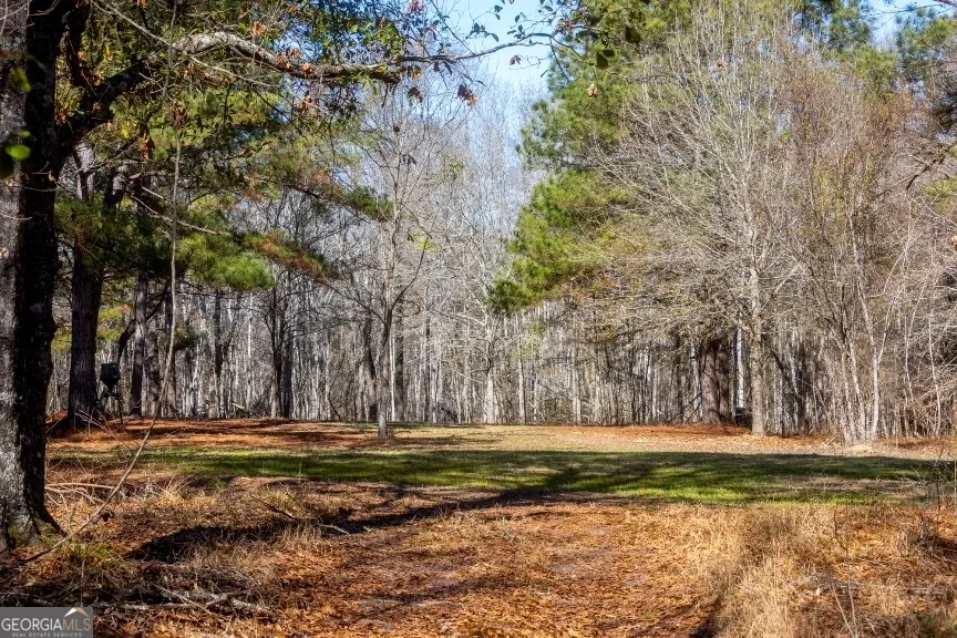 0 Crooked RD Millen, GA 30442