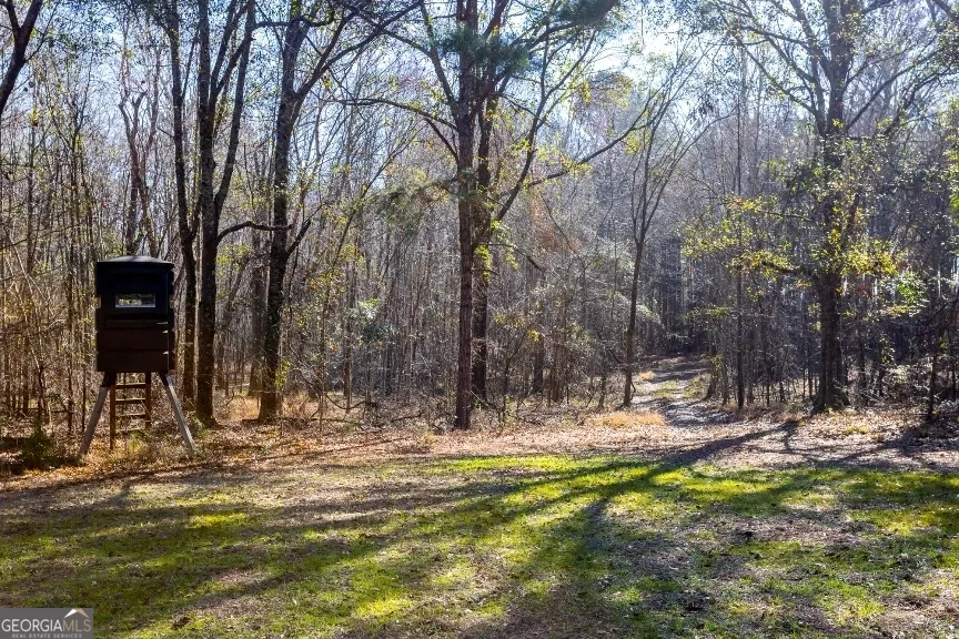 0 Crooked RD Millen, GA 30442