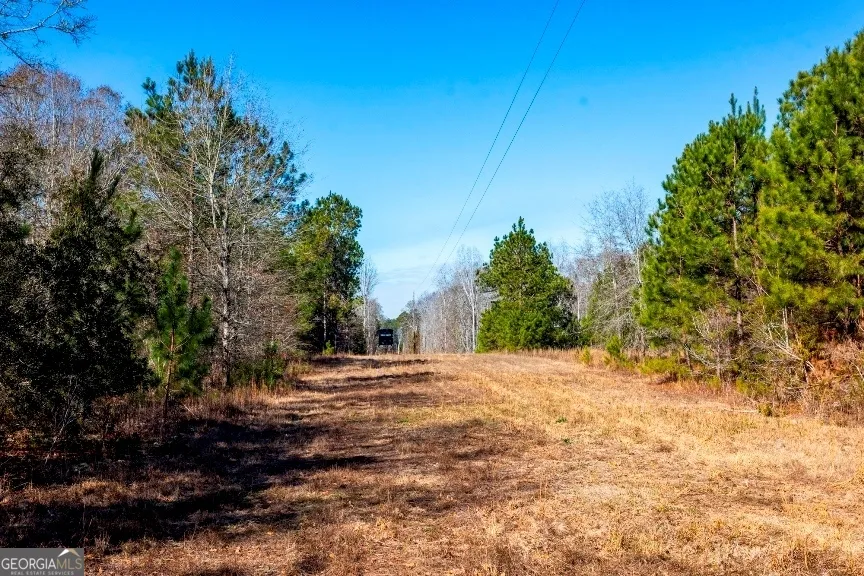 0 Crooked RD Millen, GA 30442