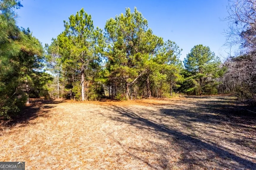 0 Crooked RD Millen, GA 30442