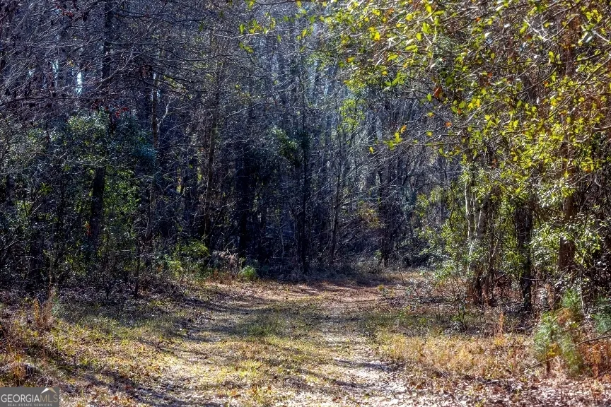 0 Crooked RD Millen, GA 30442