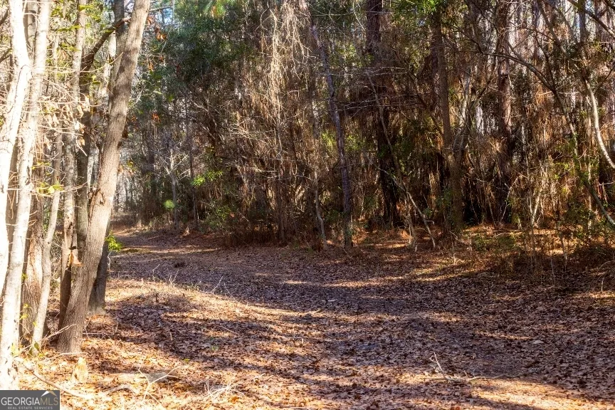 0 Crooked RD Millen, GA 30442