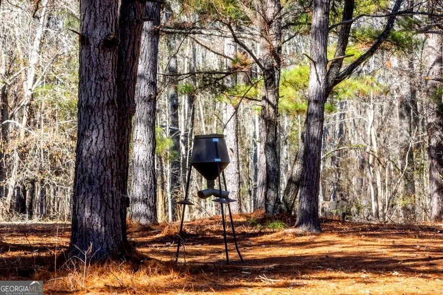 0 Crooked RD Millen, GA 30442