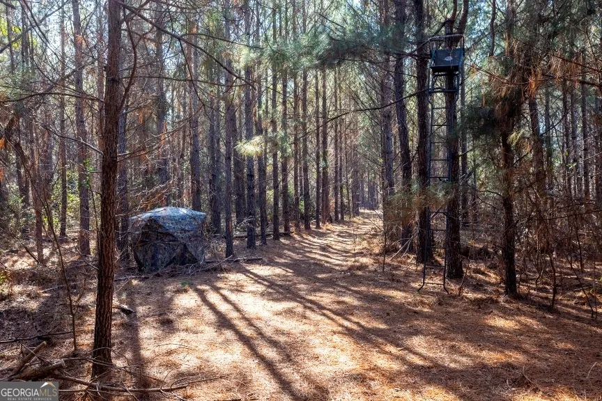 0 Crooked RD Millen, GA 30442