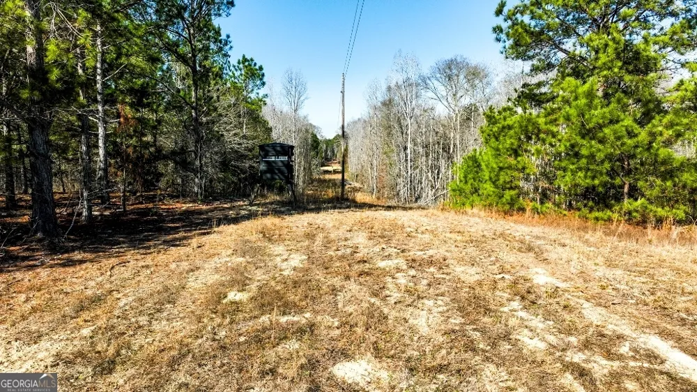 0 Crooked RD Millen, GA 30442