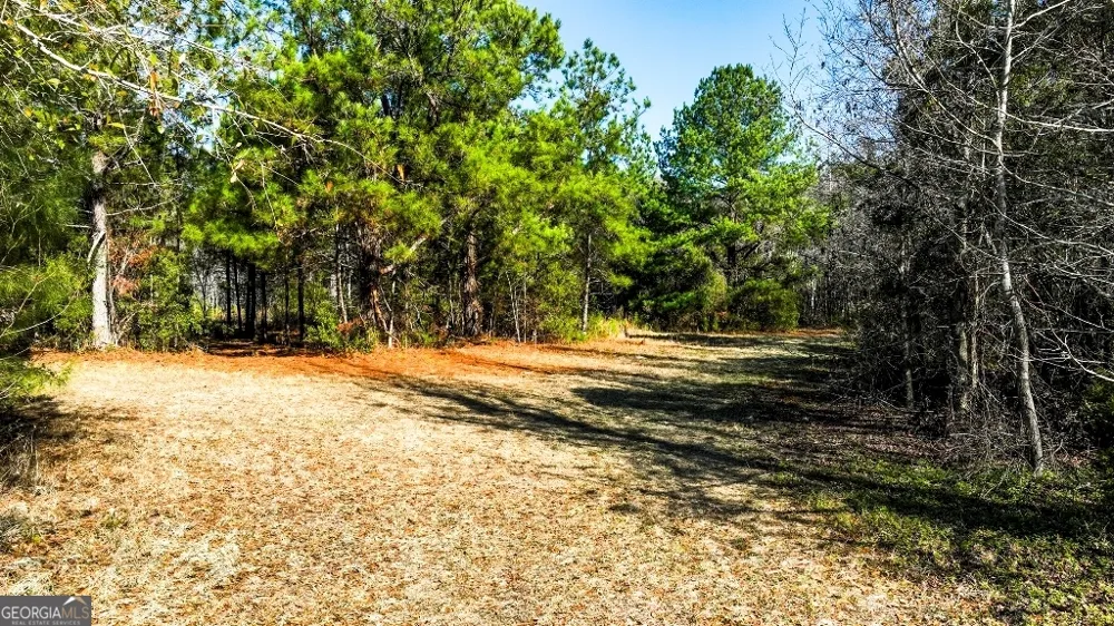 0 Crooked RD Millen, GA 30442