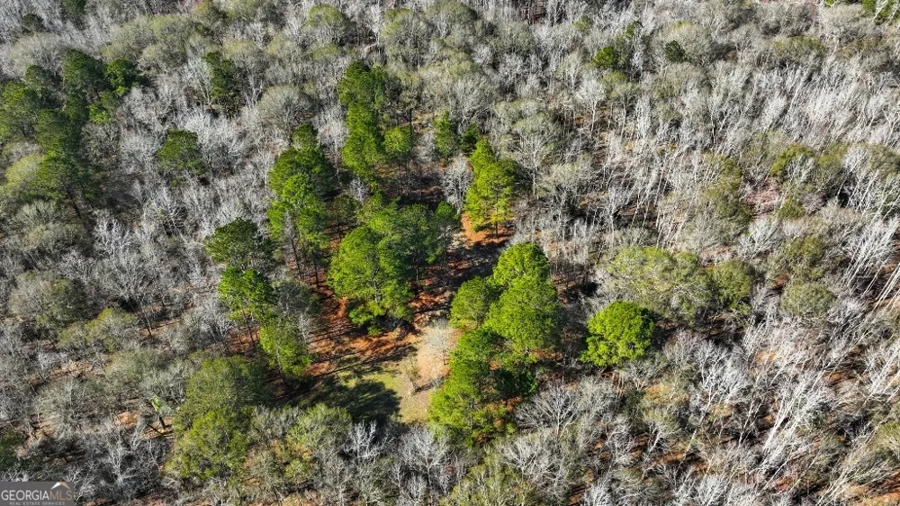 0 Crooked RD Millen, GA 30442