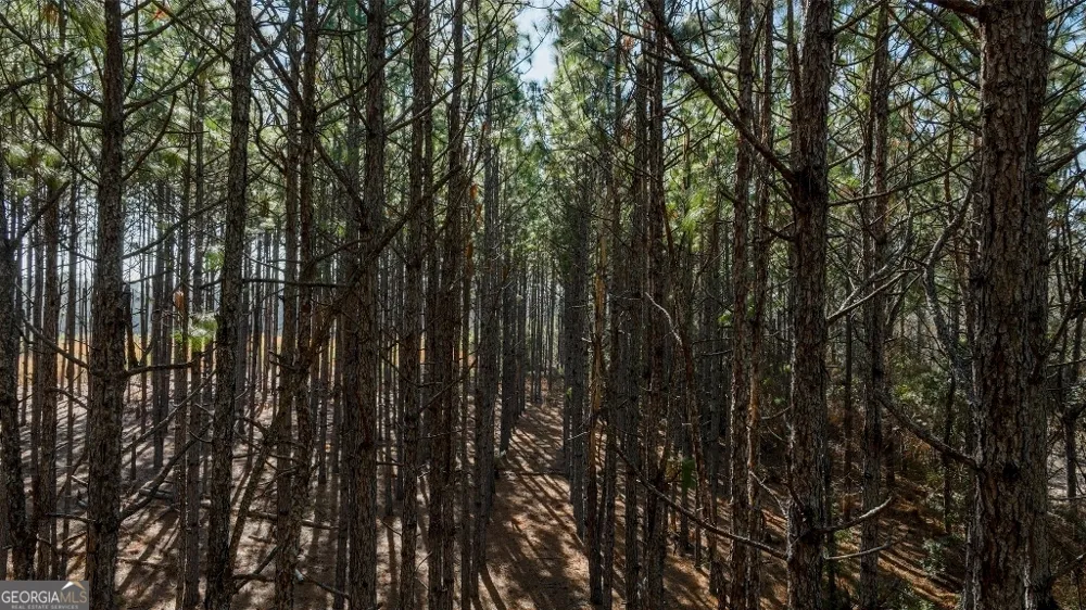 0 Crooked RD Millen, GA 30442