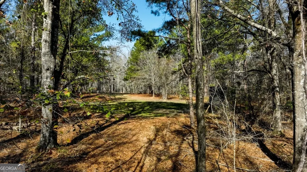 0 Crooked RD Millen, GA 30442