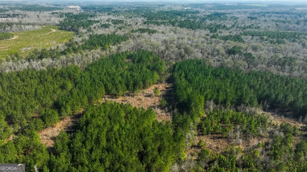 0 Crooked RD Millen, GA 30442