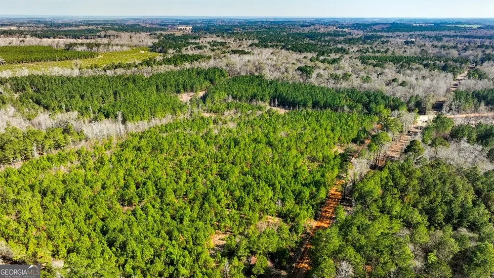 0 Crooked RD Millen, GA 30442