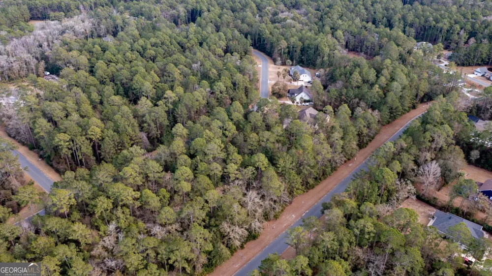 V/L 191 Sunrise DR Woodbine, GA 31569