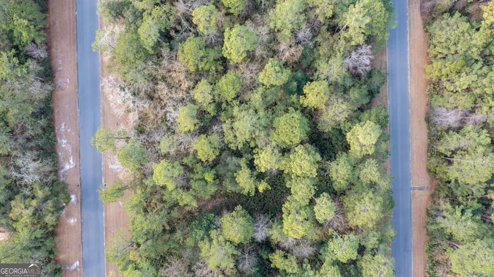 V/L 191 Sunrise DR Woodbine, GA 31569