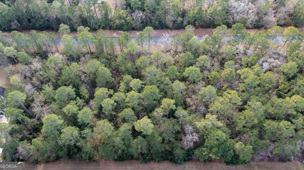 V/L 191 Sunrise DR Woodbine, GA 31569