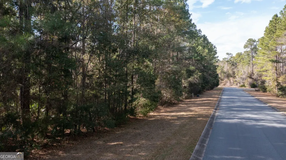 V/L 191 Sunrise DR Woodbine, GA 31569