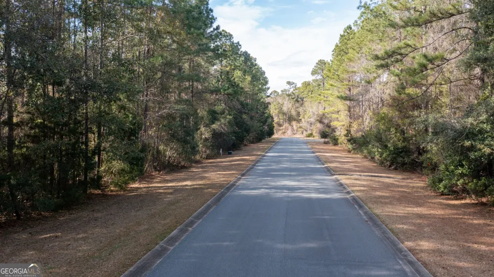 V/L 191 Sunrise DR Woodbine, GA 31569
