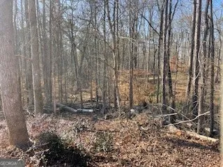 225 Standing Oak PL Fayetteville, GA 30214