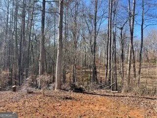 225 Standing Oak PL Fayetteville, GA 30214